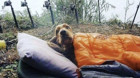 dream_fishing_kot_kitty в LOOKY. . [#рыбалка](рыбалка) ...
