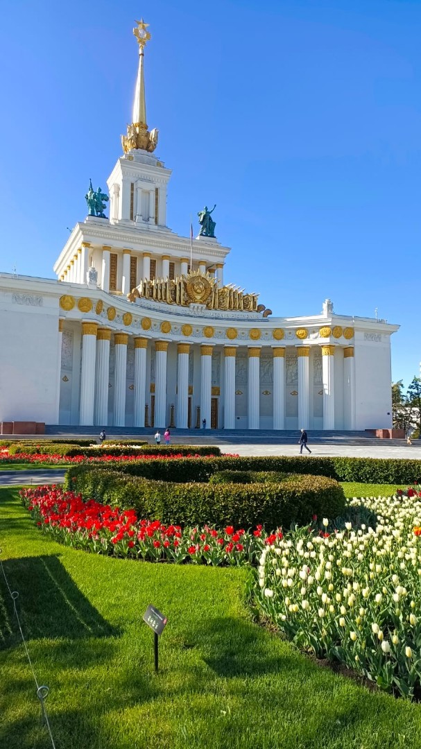 Алла Лосева в LOOKY — фото 1