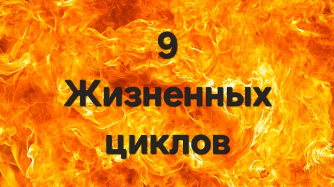 elenapsi_gipnoz в LOOKY. #нумерология,#жизненныйцикл,#9летнийцикл,#самопознание,#планнагод,#энергиягода. Пойми свой жизненный...