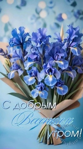 Looky_1670846284102 в LOOKY. . 