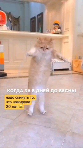 Looky_1707664987355 в LOOKY. . 😂 девушки успеваем ...