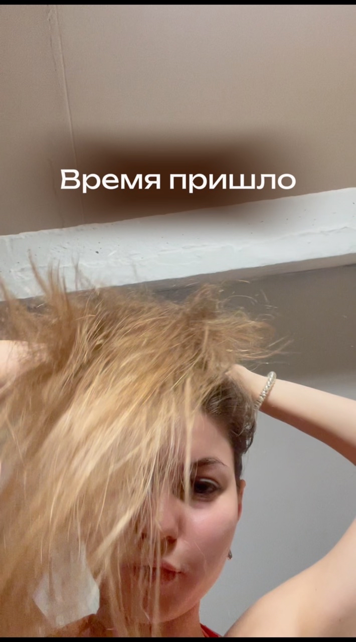 Собака Бэтмен в LOOKY. #307874530. Вот такие результаты...