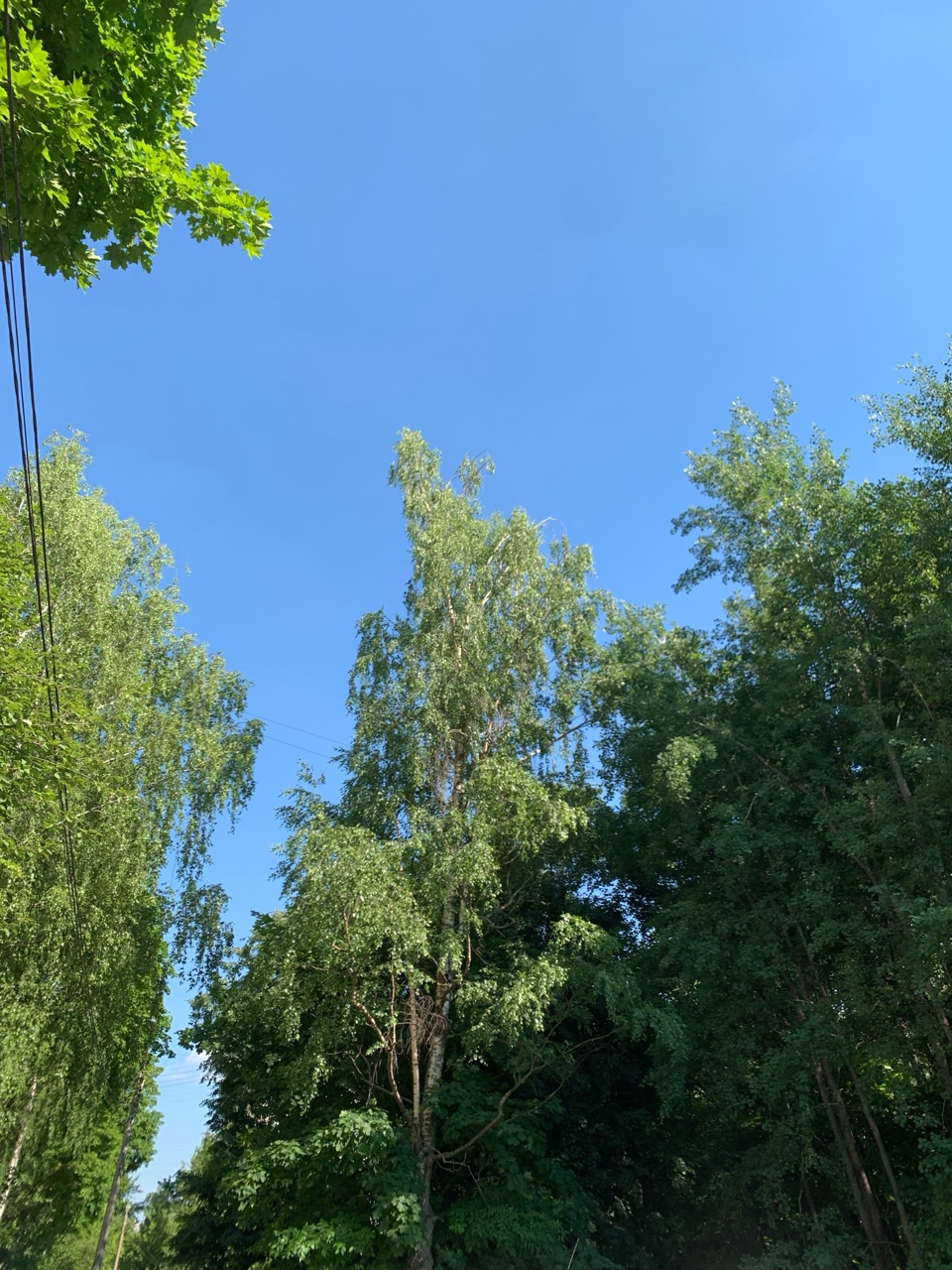 Olguita в LOOKY — публикация