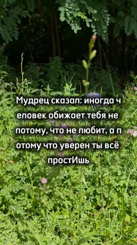 Tatiana Ubushaeva в LOOKY — публикация