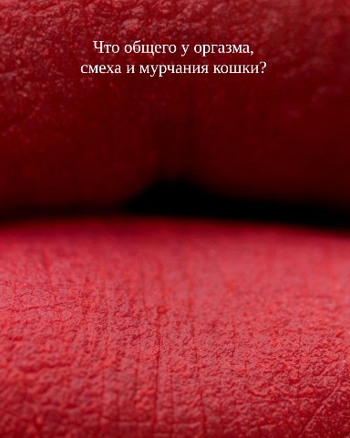 leya_harmoni в LOOKY. . МУРЧАНИЕ КОШКИ. Так ...