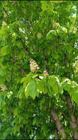vitasne в LOOKY. . Хорошего Вечкра