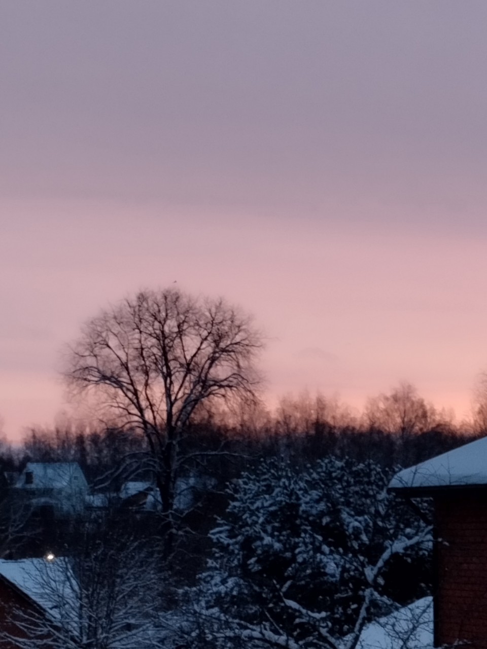 olga.ivanova77 в LOOKY — фото 10