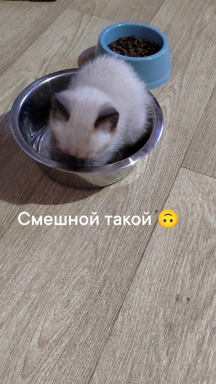 matrena_mos