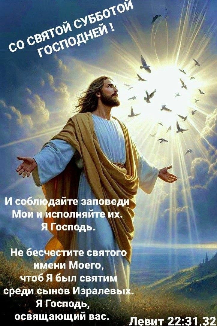 София Бровикова в LOOKY — фото 6