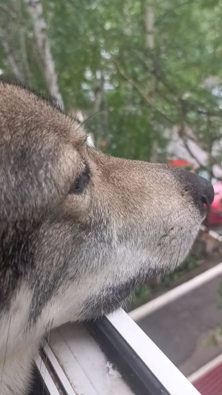Дышит свежим воздухом