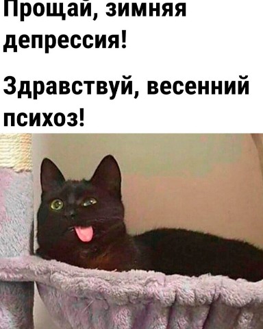 murzikpushistova в LOOKY. . Уряяя...