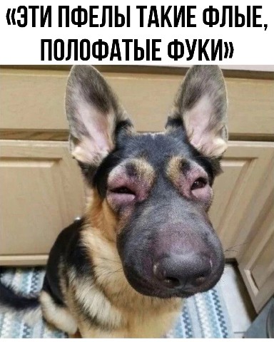 Looky_1672643960600 в LOOKY. #приколы,#ржака,#юмор,#18,#трэнды,#2023,#лучшее,#прикольныевидео,#приколыдлявзрослых,#пранки,#топ,#эпицентрюмора,#факты,#gif,#фильмы,#приколыизфильмов,#тнт,#эпицент,#краш,#мемы,#топвидео,#локи,#LOOKY_топ. 🔥 Подписывайтесь!! ...