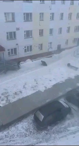 ЛЁЛИЧКА БЕРЕЖОК in LOOKY. . 17.02.2026
Пурга до ...