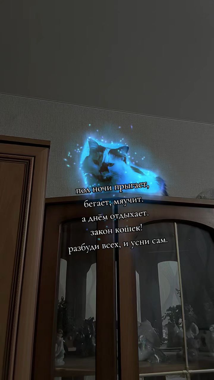 бабушка Оля в LOOKY. . [#мойпитомиц ](мойпи...