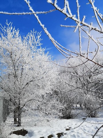 Anna_S в LOOKY. . 