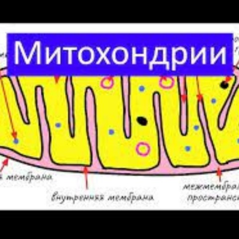 Игорь Зотов в LOOKY. . Ведь мы действительн...