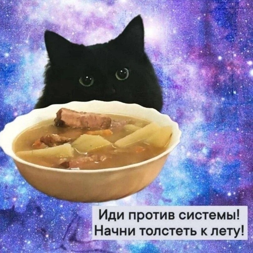 #хвостатый_друг
#чёрный_кот
Любит молоко и рыбу.