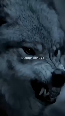 Ирина в LOOKY — публикация
