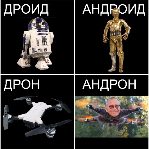 Cyberlioness в LOOKY. . 