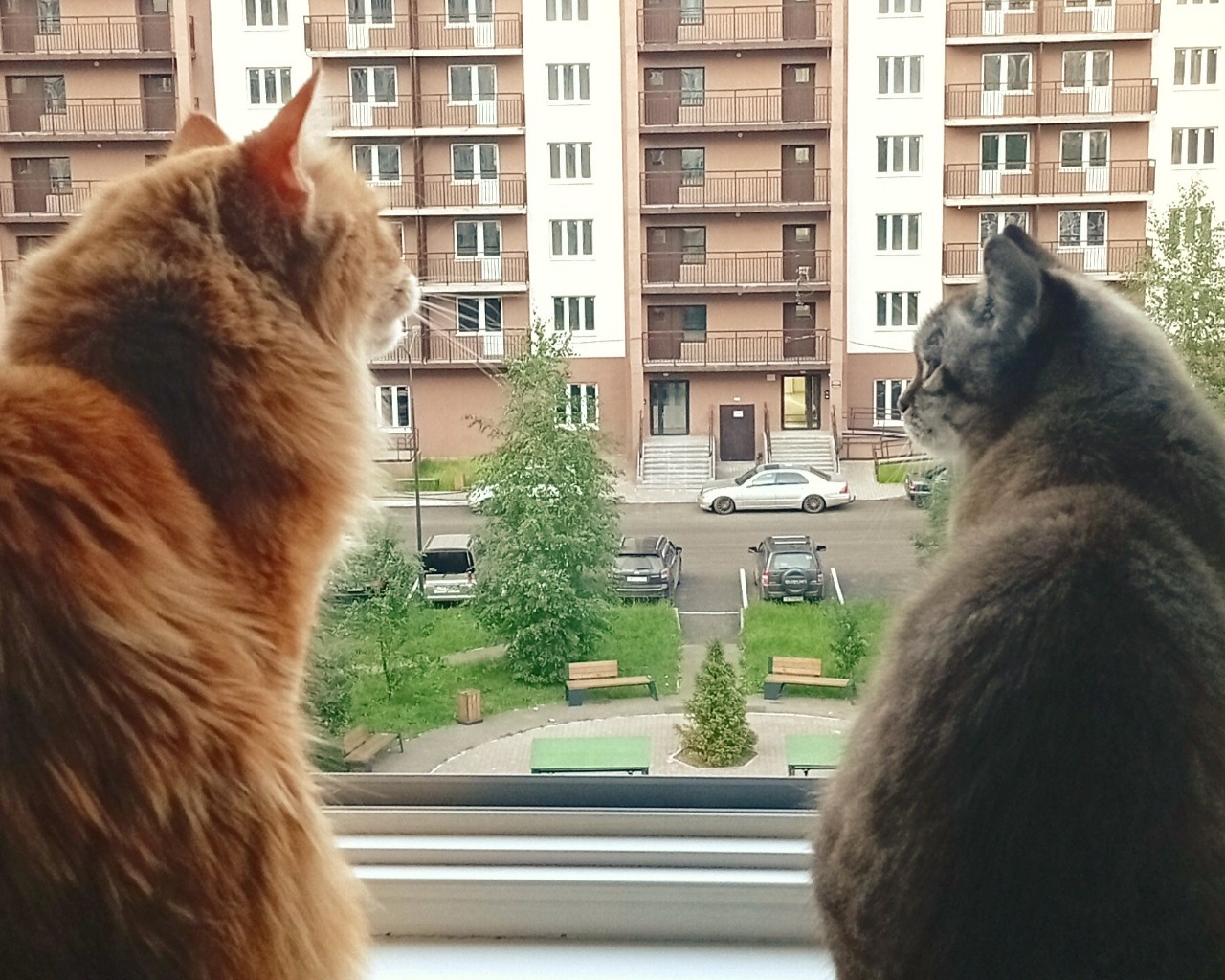 Интересно, если бы они разговаривали, то о чем бы они в пять утра здесь могли вести беседы...🤔