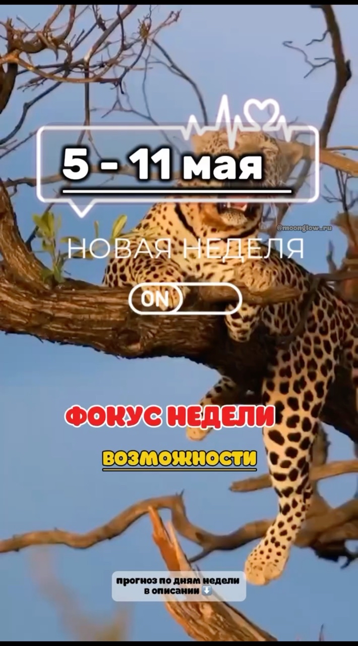 moonglow_ru в LOOKY. #гороскопнакаждыйдень,#гороскопнанеделю,#возможности,#отдых,#фокуснедели,#москва24,#9мая,#12мая,#полнолуниевмае,#красиваяастрология,#секретызвезд. 👔 Понедельник–вторн...