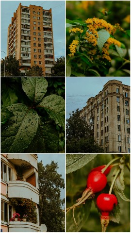 Ruby Red в LOOKY. #коллажмоегодня,#ведьма_с_севера,#ведьмин_блог,#август25,#ведьма_Руби,#депрессия,#депрессивныйэпизод,#насмотренность,#мирвокруг,#индастриал,#апатия,#ангедония,#поднимиголову,#чтотывидишь. Если вы, когда-нибуд...