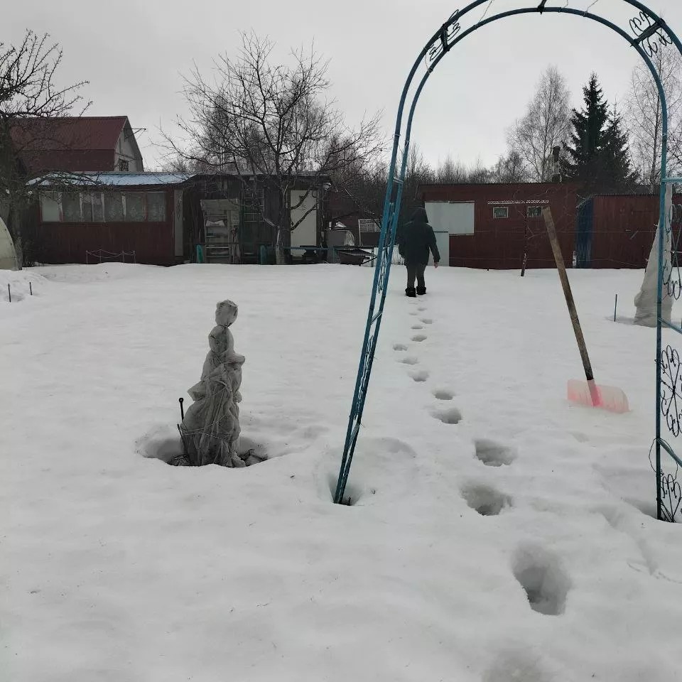 Olgaf314 в LOOKY — фото 10