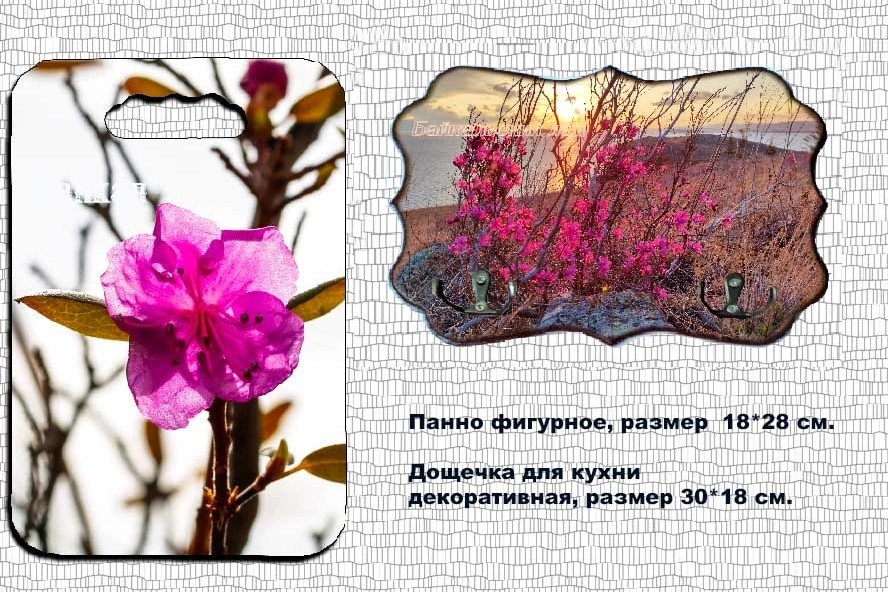 Ключница фигурная " Багульник", дощечка для кухни декоративная, с фотографией по вашему желанию. Размер 18*28 см. Изготовление за 5 дней. Доставка почтой России. Звоните 89024512497 #ключница #дощечка #облепиха #сувенирыБурятии #Байкал #фотоТатьяныДубровиной #декупаж