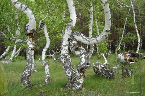 Тайны прошлого и настоящего в LOOKY. . Медведицкая Гряда - ...