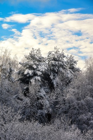 poboruev_landscape в LOOKY. . У меня новый рассказ...