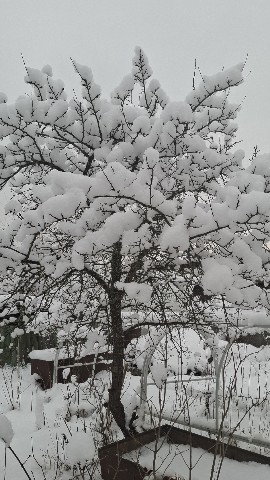 dachnyedela в LOOKY. . Наконец-то приехали ...