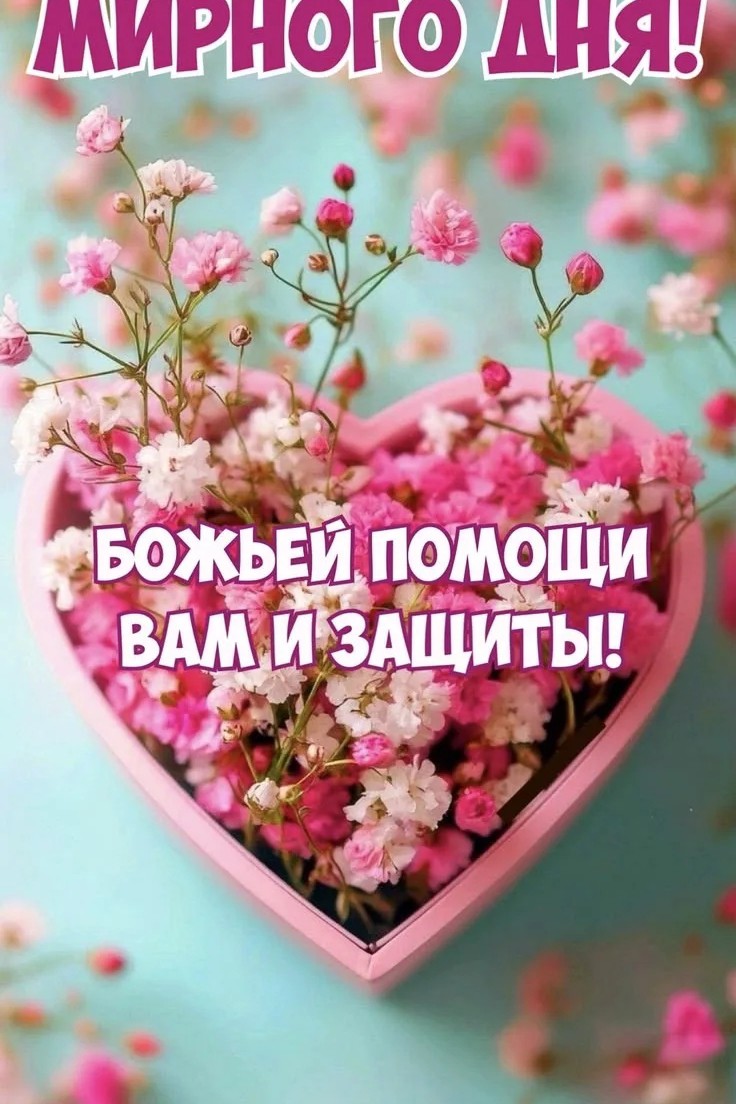 Сириус в LOOKY — публикация