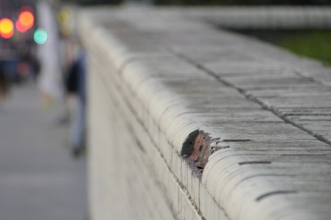 кошка ТЕОРЕМА в LOOKY. #урбанистично. #урбанистично