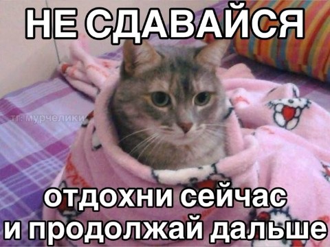 Darsiii в LOOKY. #мотивация. Чуть-чуть мотивации ...