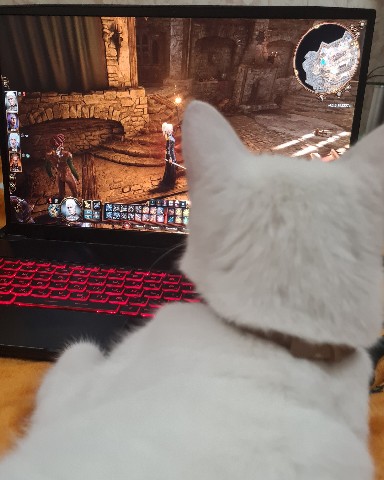 WhiteKitCat в LOOKY. #baldursgate3. Играю мышкой, #baldu...