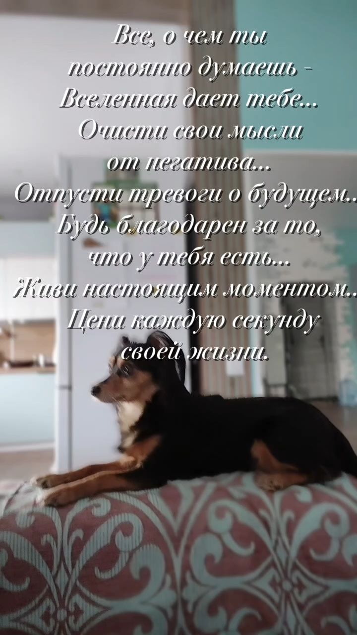 Светланка в LOOKY. . 