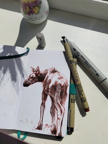 moremiron_art в LOOKY. #illustration,#graphic,#portrait,#animalistic,#animalart,#графика,#портрет,#иллюстрация,#анималистика,#анималистическийжанр,#бытьхудожникоманималистом. Быстрые графические ...