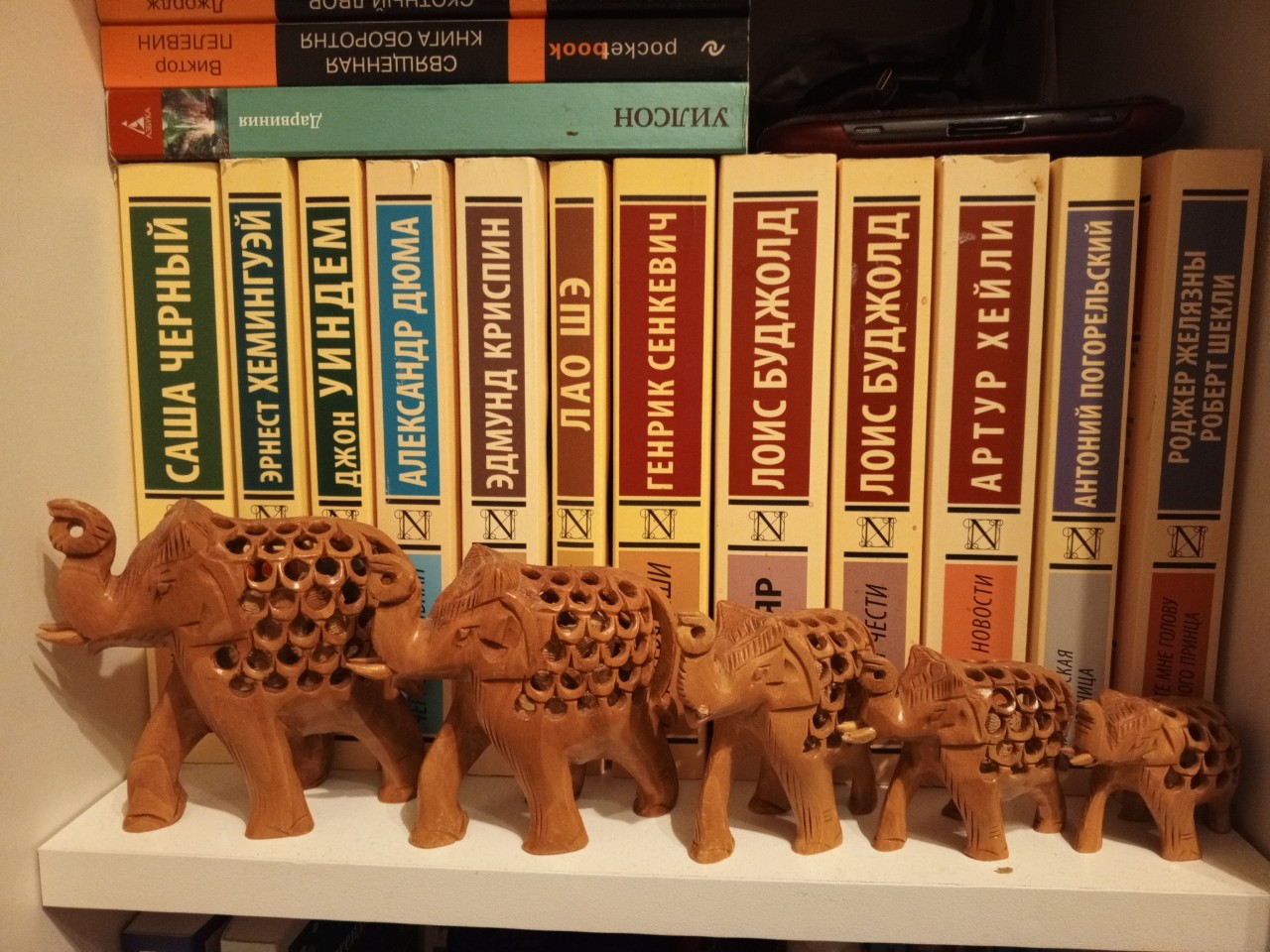Лисичка с книгами в LOOKY — #слоники