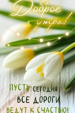 Аля Бик в LOOKY. . 
