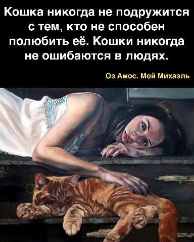 bavani3028 в LOOKY. . 