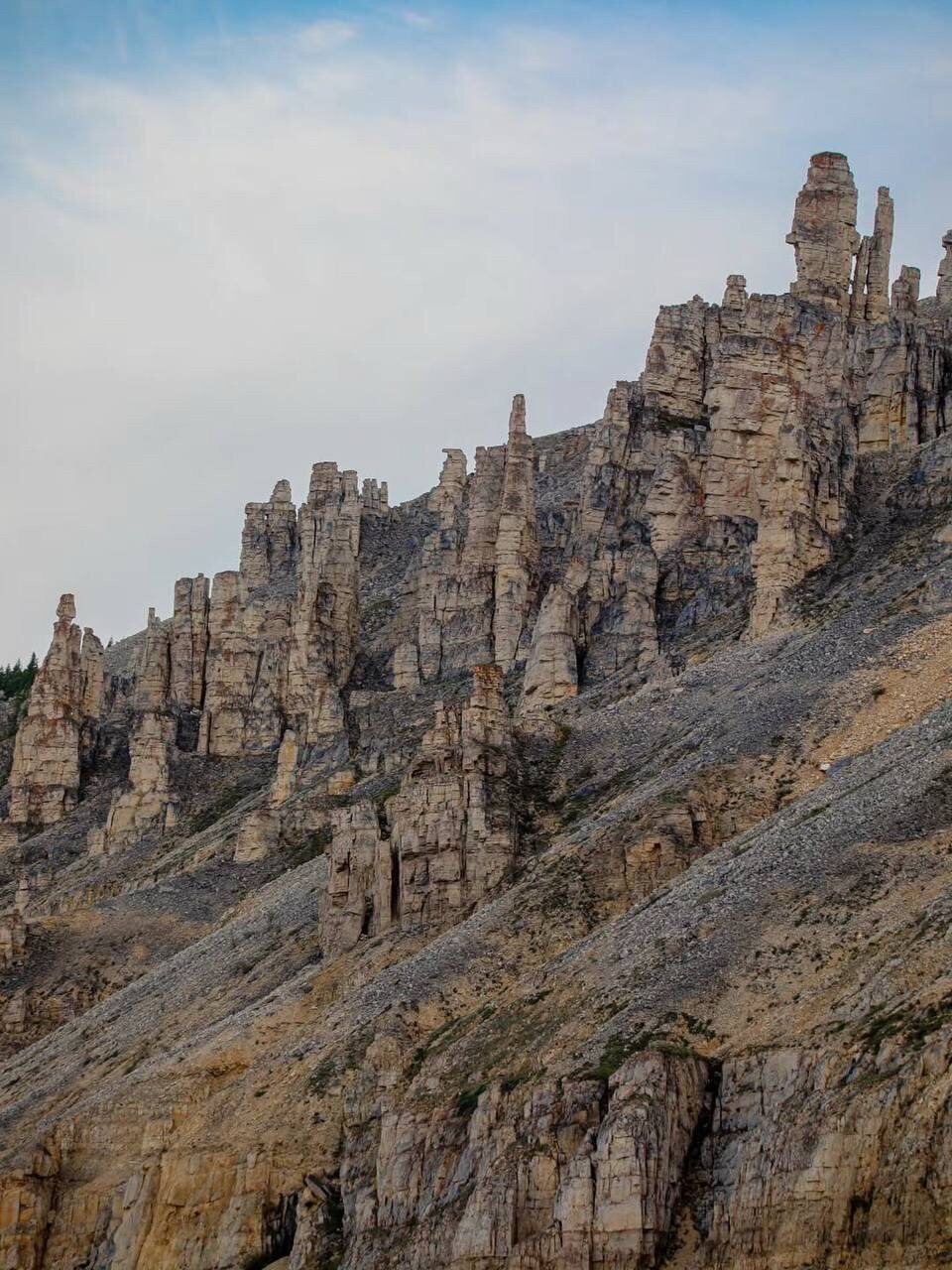 Таймыр, Анабарское плато — неповторимая территория русской Арктики, уникальный памятник планетарного масштаба.

Анабар — одно из древнейших горных плато на планете. Расположено в северо-восточной части Среднесибирского плоскогорья, на территории, ограниченной с одной стороны горами плато Путорана, с другой — рекой Леной. На севере граничит с озёрно-аккумулятивной Северо-Сибирской низменностью. Территория относится к зоне распространения вечной мерзлоты, мощность которой под Анабарским плато достигает 1500 м.
[#природа ](природа) [#россия ](россия) [#нашастрана ](нашастрана)[#этороссиядетка ](этороссиядетка)