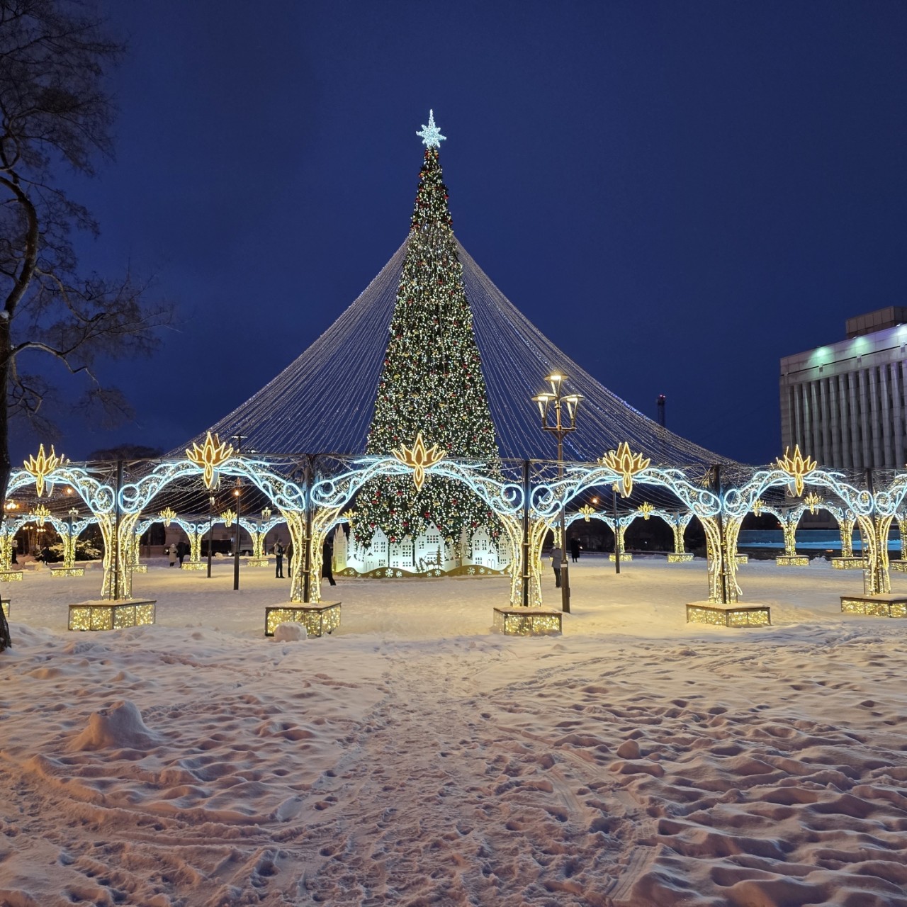 askaiter в LOOKY. . С новым годом 2026🎉...