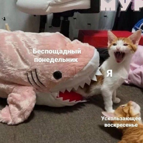 No funny - no money в LOOKY. . 