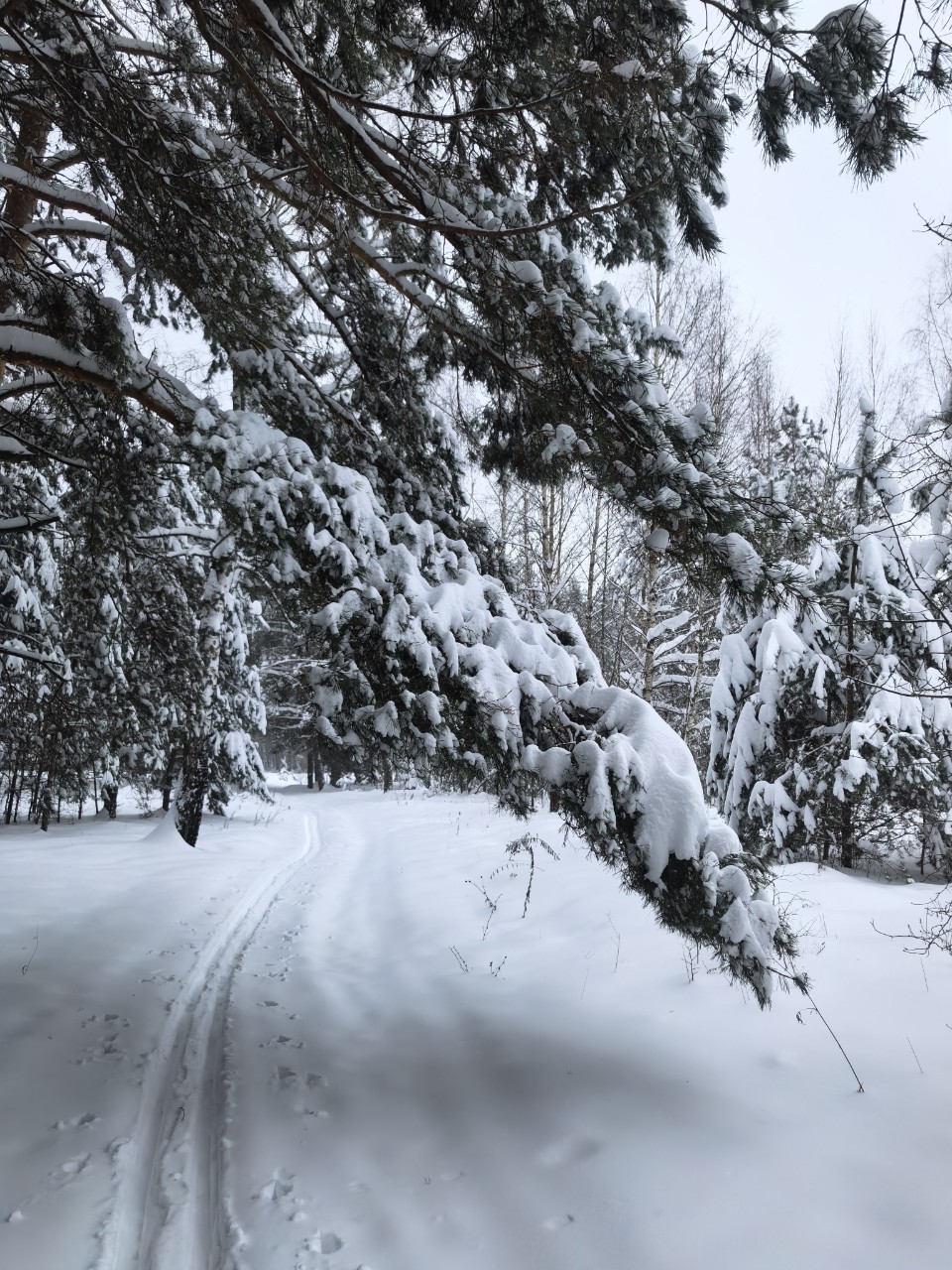 Юрий Эл в LOOKY. . Финальные снежные ка...