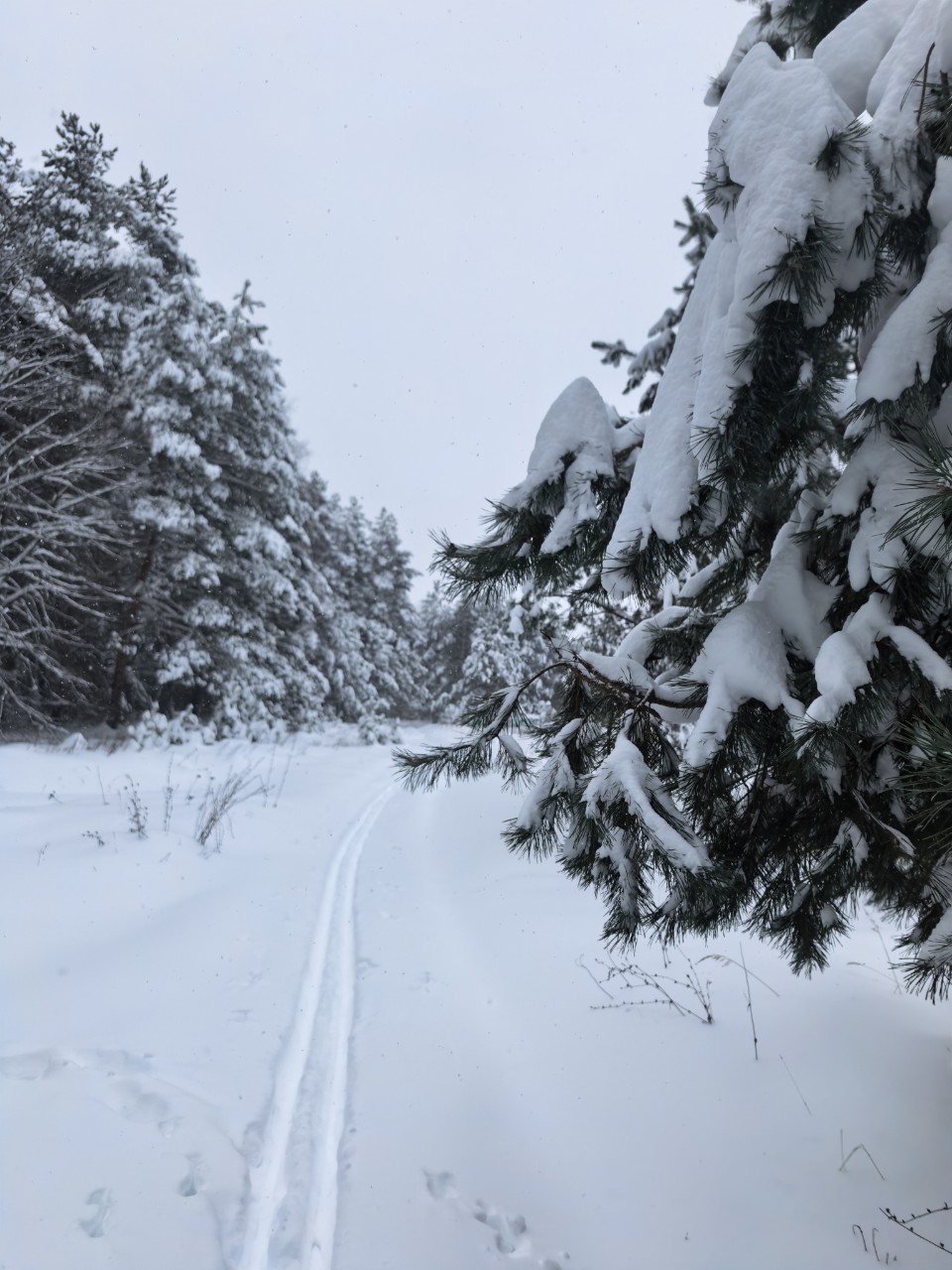 Юрий Эл в LOOKY — фото 2