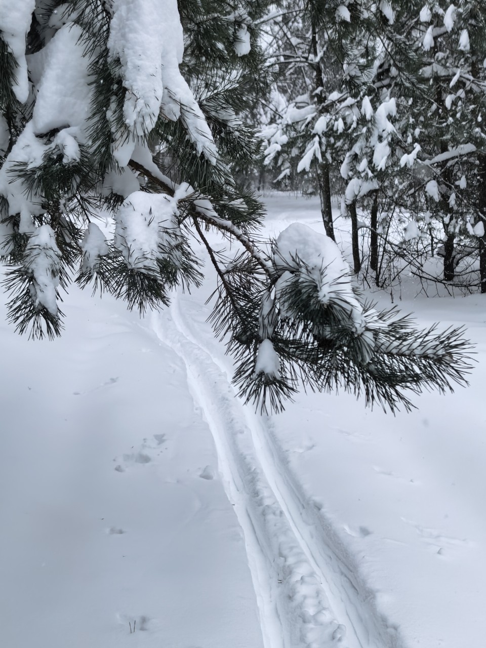 Юрий Эл в LOOKY — фото 3