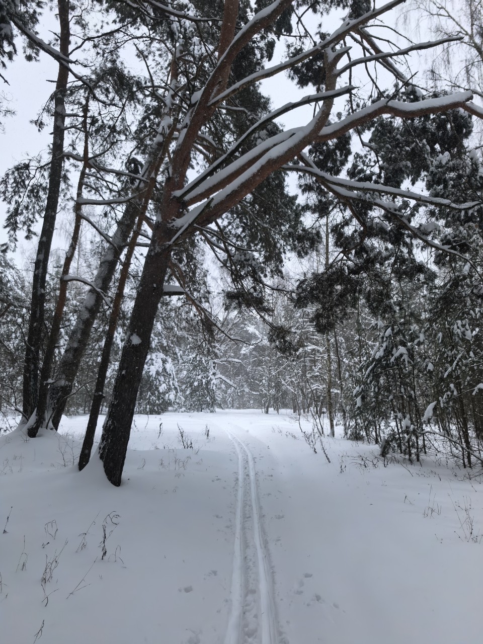 Юрий Эл в LOOKY — фото 4