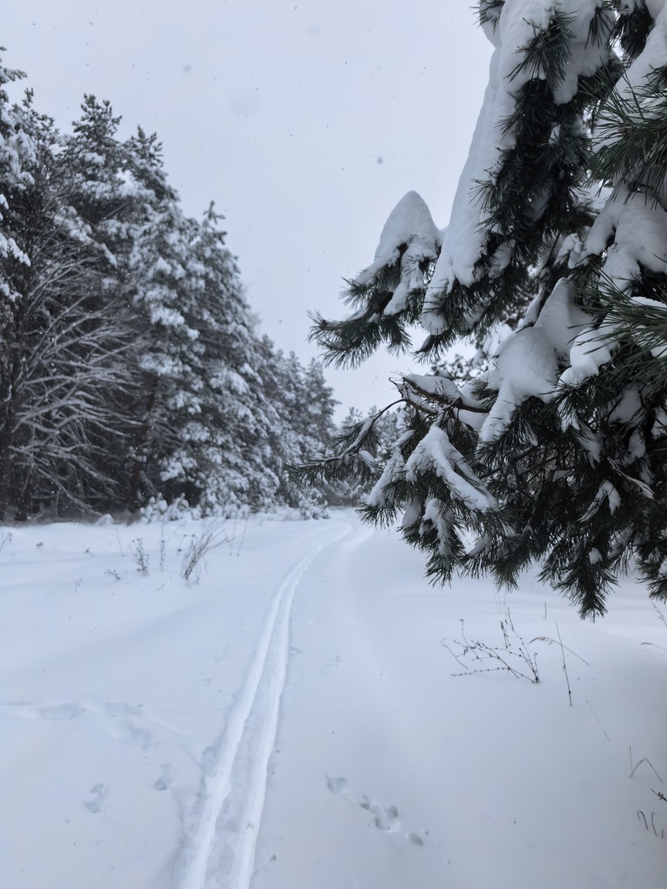 Юрий Эл в LOOKY — фото 5