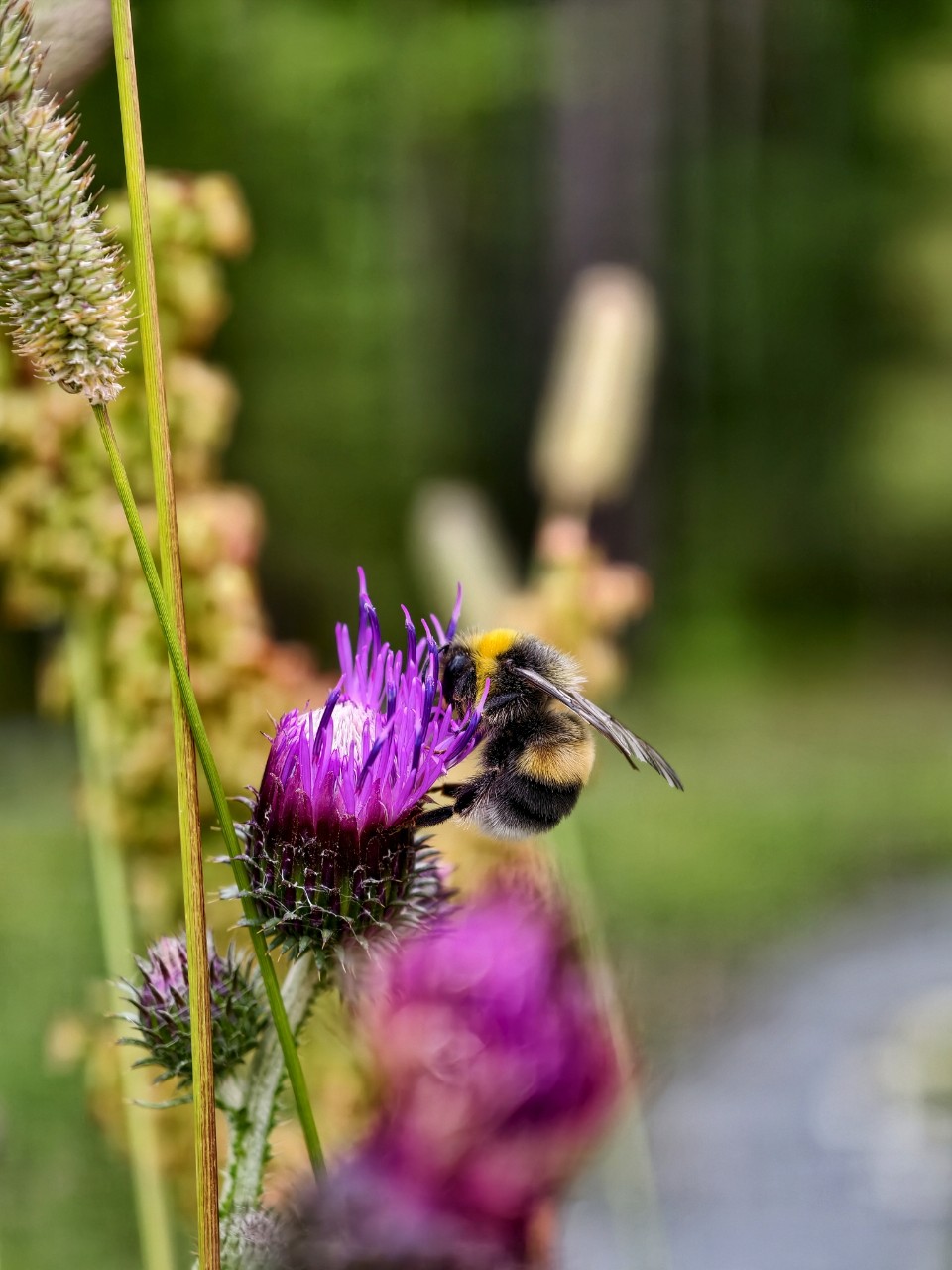 Виктор в LOOKY — фото 3