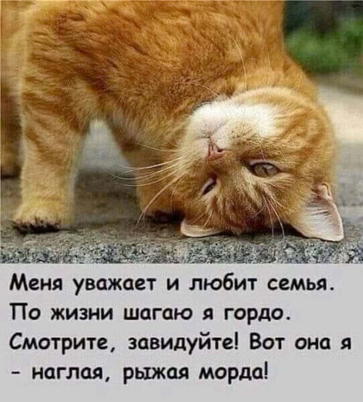 Tatiana Ubushaeva в LOOKY — публикация